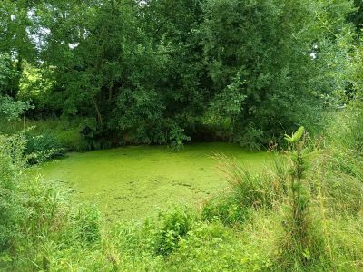 Vente Maison Lassy - Réf. 12032  - Mandataire immobilier Stéphane Fogel - image 47