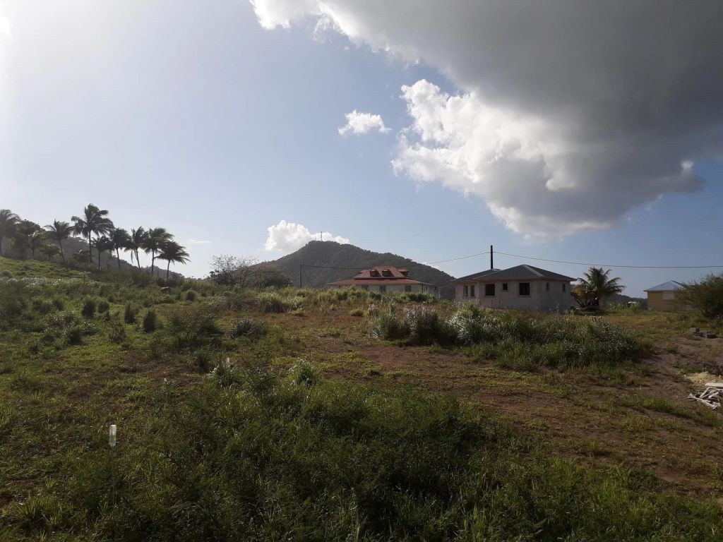 Vente Vente Terrain Sainte-Rose - Réf. 7907  - Mandataire immobilier Agent Mandataire France - image 1