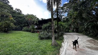 Vente Villa Remire-Montjoly - Réf. 10926  - Mandataire immobilier Philippe Le Roux - image 4