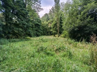 Vente Maison Lassy - Réf. 12032  - Mandataire immobilier Stéphane Fogel - image 37