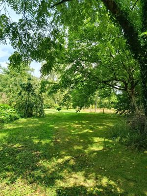 Vente Maison Lassy - Réf. 12032  - Mandataire immobilier Stéphane Fogel - image 30