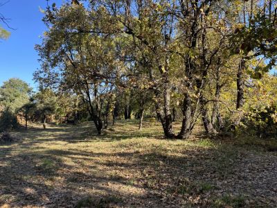 Lorgues 83510 – Villa