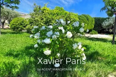 Vente Maison Cabrières-d'Aigues - Réf. 10717  - Mandataire immobilier Xavier Paris - image 17