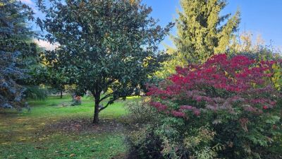 Vente Maison Loches - Réf. 11768  - Mandataire immobilier Sabrina Montigny - image 33