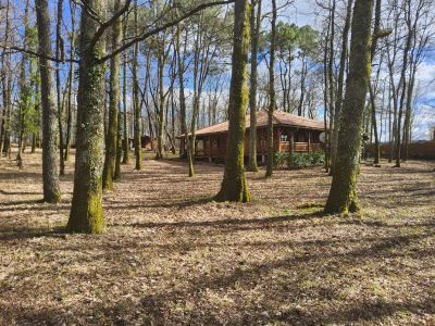 Vente Chalet Ambrus - Réf. 12008  - Mandataire immobilier Sabrina Lahuerta - image 11