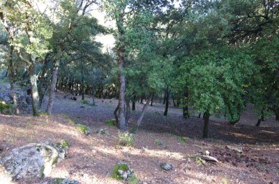 Vente Villa Lorgues - Réf. 12034  - Mandataire immobilier Régine Finistre - image 24