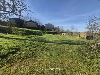 Vente Maison Campagne-d'Armagnac - Réf. 11392  - Mandataire immobilier Sabrina Lahuerta - image 3