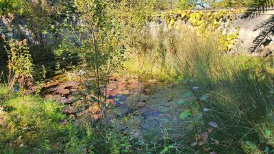 Vente Maison Loches - Réf. 11768  - Mandataire immobilier Sabrina Montigny - image 30