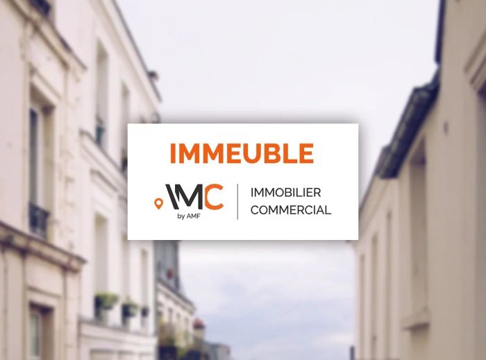Langon 33210 – Ensemble immobilier