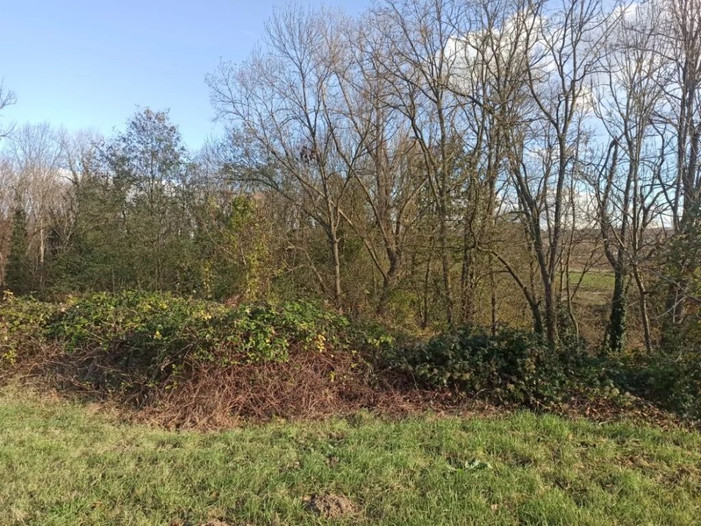 Terrain inconstructible 2483 m²