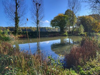 Vente Maison Lyons-la-Forêt - Réf. 11964  - Mandataire immobilier Bruno Lucet - image 10