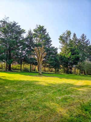 Vente Maison Le Mans - Réf. 12383  - Mandataire immobilier Jean-Michel Gendrot - image 10