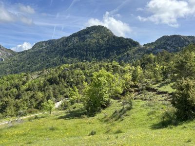 Vente Maison Digne-les-Bains - Réf. 11035  - Mandataire immobilier Corinne Gruber - image 18