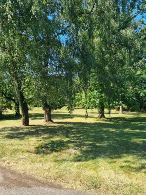 Vente Propriété Châteauneuf-sur-Cher - Réf. 12363  - Mandataire immobilier Christophe Hémery - image 19