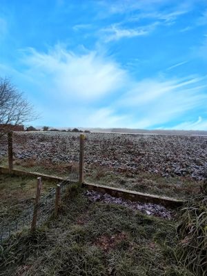Vente Maison de village Saint-Genest-d'Ambière - Réf. 12096  - Mandataire immobilier Vanessa Chabauty - image 3