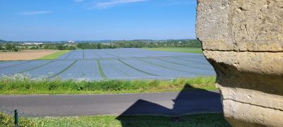 Vente Manoir Villavard - Réf. 12347  - Mandataire immobilier Christophe Hémery - image 9