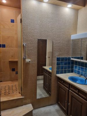 Vente Propriété Châteauneuf-sur-Cher - Réf. 12363  - Mandataire immobilier Christophe Hémery - image 11