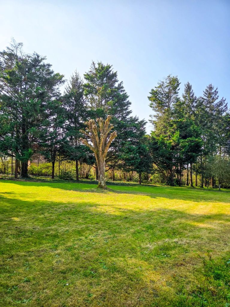 Terrain constructible 2650 m²