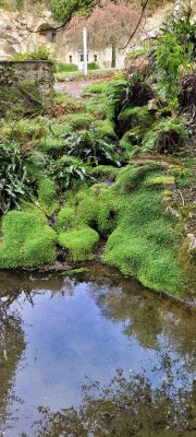 La Chartre-sur-le-Loir 72340 – Manoir