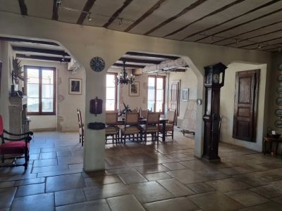 Vente Propriété Châteauneuf-sur-Cher - Réf. 12363  - Mandataire immobilier Christophe Hémery - image 3