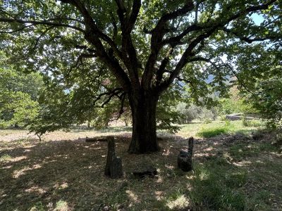 Digne-les-Bains 04000 – Maison