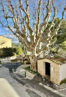 Vente Appartement Éguilles - Réf. 12159  - Mandataire immobilier Denise Picca - image 3