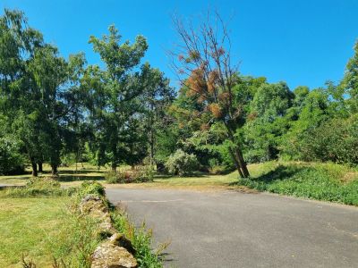 Vente Propriété Châteauneuf-sur-Cher - Réf. 12363  - Mandataire immobilier Christophe Hémery - image 17