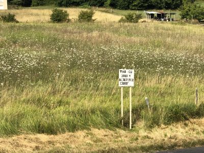 Vente Terrain Saint-Astier - Réf. 11658  - Mandataire immobilier Béatrice Oudart - image 2