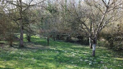 Vente Maison Saint-Erme-Outre-et-Ramecourt - Réf. 12359  - Mandataire immobilier Anthony Lebouvier - image 20