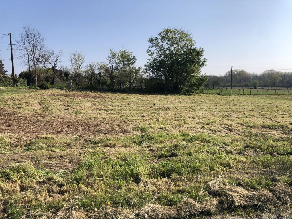 Terrain constructible 1230 m²