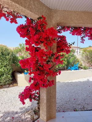 Vente Villa La Palme - Réf. 12280  - Mandataire immobilier Brigitte Hirn - image 2