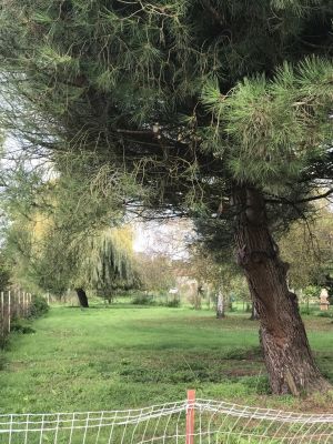 Vente Terrain constructible Ardiège - Réf. 12031  - Mandataire immobilier Catalina Gutierrez - image 2