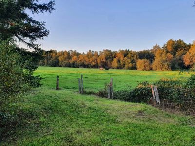 Vente Maison Lyons-la-Forêt - Réf. 12389  - Mandataire immobilier Agent Mandataire France - image 6