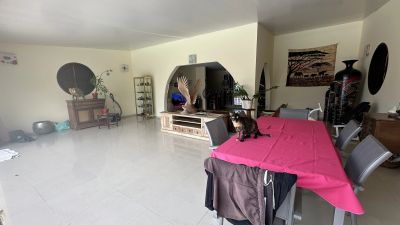 Vente Villa Matoury - Réf. 12554  - Mandataire immobilier Philippe Le Roux - image 7