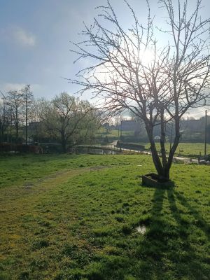 Vente Maison Valdallière - Réf. 12355  - Mandataire immobilier Stéphane Fogel - image 4