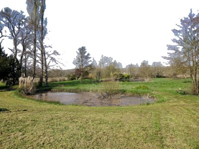 Vente Maison de village Cheillé - Réf. 12546  - Mandataire immobilier Sabrina Montigny - image 19