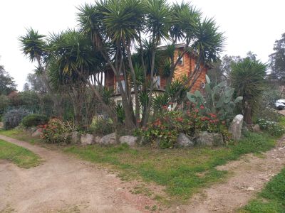 Vente Appartement Porto-Vecchio - Réf. 12346  - Mandataire immobilier Roselyne Peretti - image 12