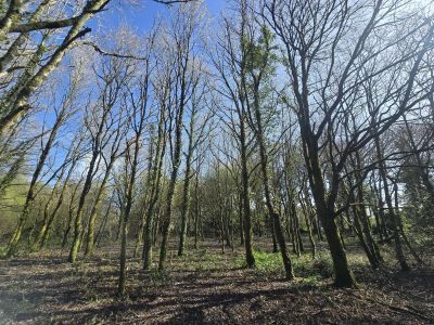 Vente Maison de village Rostrenen - Réf. 12438  - Mandataire immobilier Pierre-Yves Le Dorner - image 16