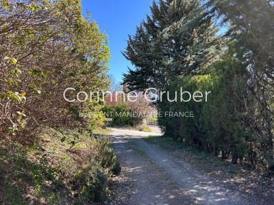 Vente Maison Mallemoisson - Réf. 12499  - Mandataire immobilier Corinne Gruber - image 17