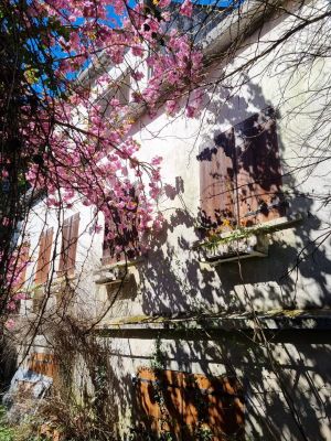 Vente Maison Limay - Réf. 12442  - Mandataire immobilier Christophe Hémery - image 2