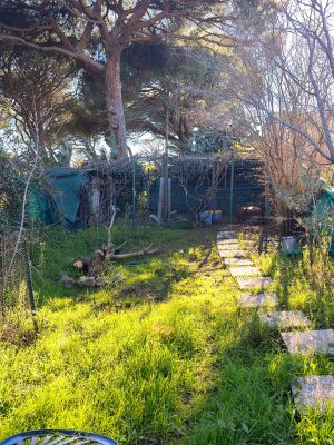 Vente Villa Puget-sur-Argens - Réf. 12066  - Mandataire immobilier Jessica Mahé - image 11