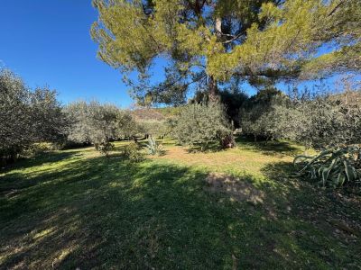 Vente Maison Moissac-Bellevue - Réf. 12385  - Mandataire immobilier Johan Benguigui - image 20