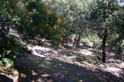 Vente Villa Lorgues - Réf. 12034  - Mandataire immobilier Régine Finistre - image 18