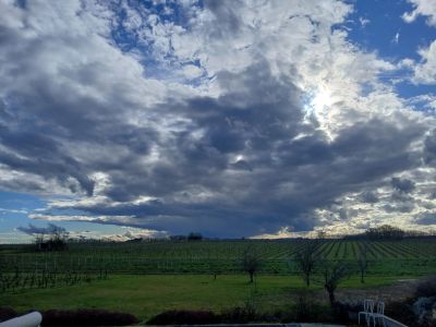 Vente Maison Monbazillac - Réf. 12481  - Mandataire immobilier Loick Richard - image 3