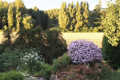 Thoiry 78770 – Maison