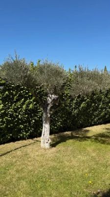 Vente Maison Aix-en-Provence - Réf. 12510  - Mandataire immobilier Xavier Paris - image 15