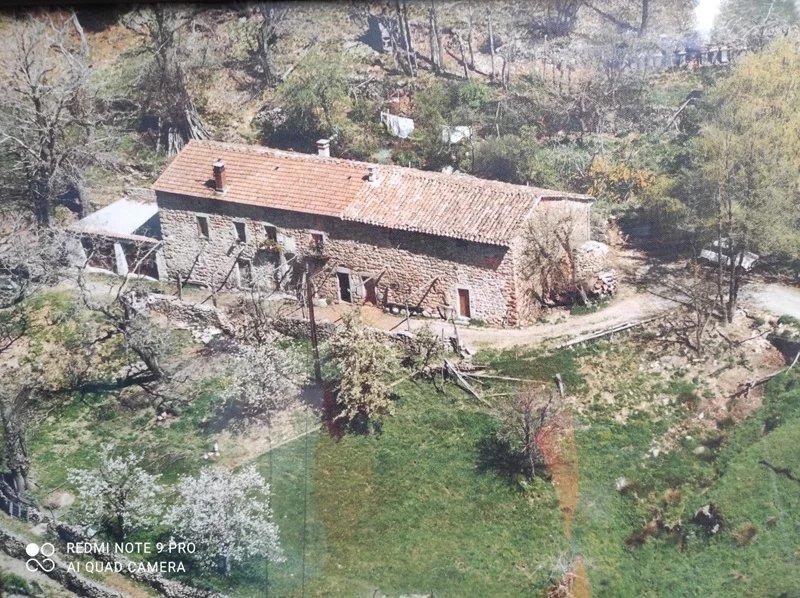 Maison 250 m²