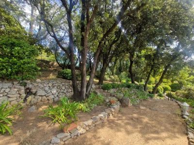 Vente Maison Trans-en-Provence - Réf. 12721A  - Mandataire immobilier Valérie Lataste - image 10