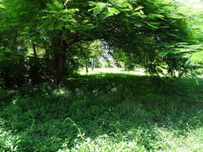 Sainte-Anne 97180 – Terrain