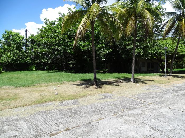 Sainte-Anne 97180 – Terrain constructible